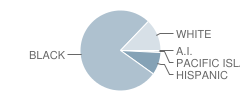 Pearl Stephens Elementary School Student Race Distribution