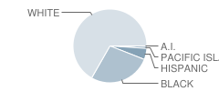 Washington Park Elementary School Student Race Distribution