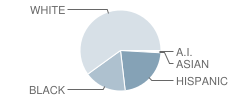 Jeff Davis Primary School Student Race Distribution