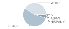 Jenkins County Middle School Student Race Distribution