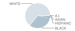 Lamar County Primary School Student Race Distribution