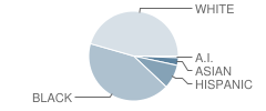 Joseph Martin Elementary School Student Race Distribution