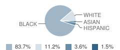 Macon County High School Student Race Distribution