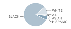 Macon County Elementary School Student Race Distribution