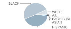 Lockheed Elementary School Student Race Distribution