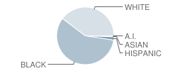 Maxwell Elementary School Student Race Distribution