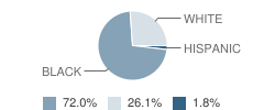 Greenville High School Student Race Distribution