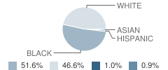 Mountain View Elementary School Student Race Distribution