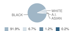 Downtown Elementary Magnet Academy Student Race Distribution