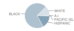 Fort Valley Middle School Student Race Distribution