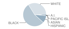 Peach County High School Student Race Distribution