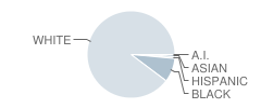 Pike County Primary School Student Race Distribution