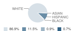 Rabun County High School Student Race Distribution