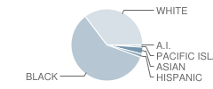 National Hills Elementary School Student Race Distribution