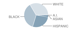 Rome Middle School Student Race Distribution