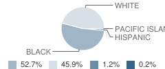 Screven County High School Student Race Distribution