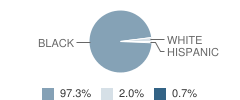 Stewart County Middle School Student Race Distribution