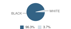 Central Elementary / High School Student Race Distribution