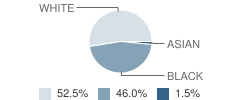 Taylor County Middle School Student Race Distribution