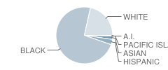 Valdosta High School Student Race Distribution