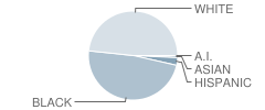 Vidalia Comprehensive High School Student Race Distribution