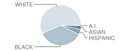 Carver Middle School Student Race Distribution