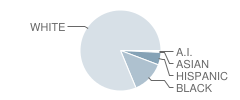 Loganville Middle School Student Race Distribution