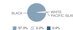 Warren County High School Student Race Distribution