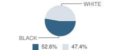 The Bridge School Student Race Distribution