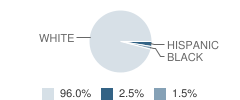 Atkinson Elementary School Student Race Distribution