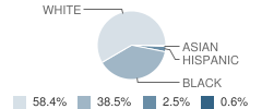 New Jackson Elementary School Student Race Distribution