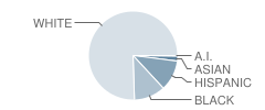 Commerce Primary School Student Race Distribution