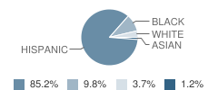 Lake Forest Elementary School Student Race Distribution