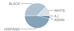 Gwinnett Intervention Education (Give) Center West School Student Race Distribution