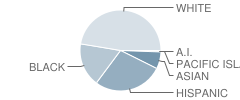 Lanier Middle School Student Race Distribution