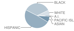 Benefield Elementary School Student Race Distribution