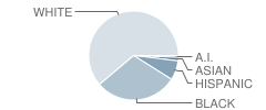 Pine Grove Middle School Student Race Distribution