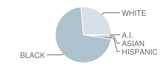 Clements Theme School Student Race Distribution