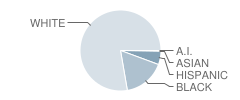 Carl Scoggins Sr. Middle School Student Race Distribution