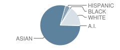 Castle High School Student Race Distribution