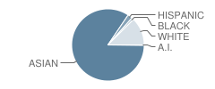 Mckinley High School Student Race Distribution