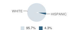 Colfax-Mingo Middle School Student Race Distribution