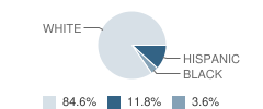 Alta High School Student Race Distribution