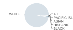 Ida Grove Elementary School Student Race Distribution