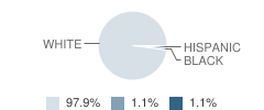 Baxter High School Student Race Distribution