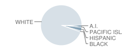 Central Lyon Middle School Student Race Distribution