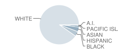 Charles City Middle School Student Race Distribution