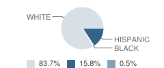 Clarke Junior High School Student Race Distribution