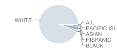 Clay Central-Everly Elementary at Royal School Student Race Distribution