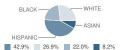 Hiatt Middle School Student Race Distribution